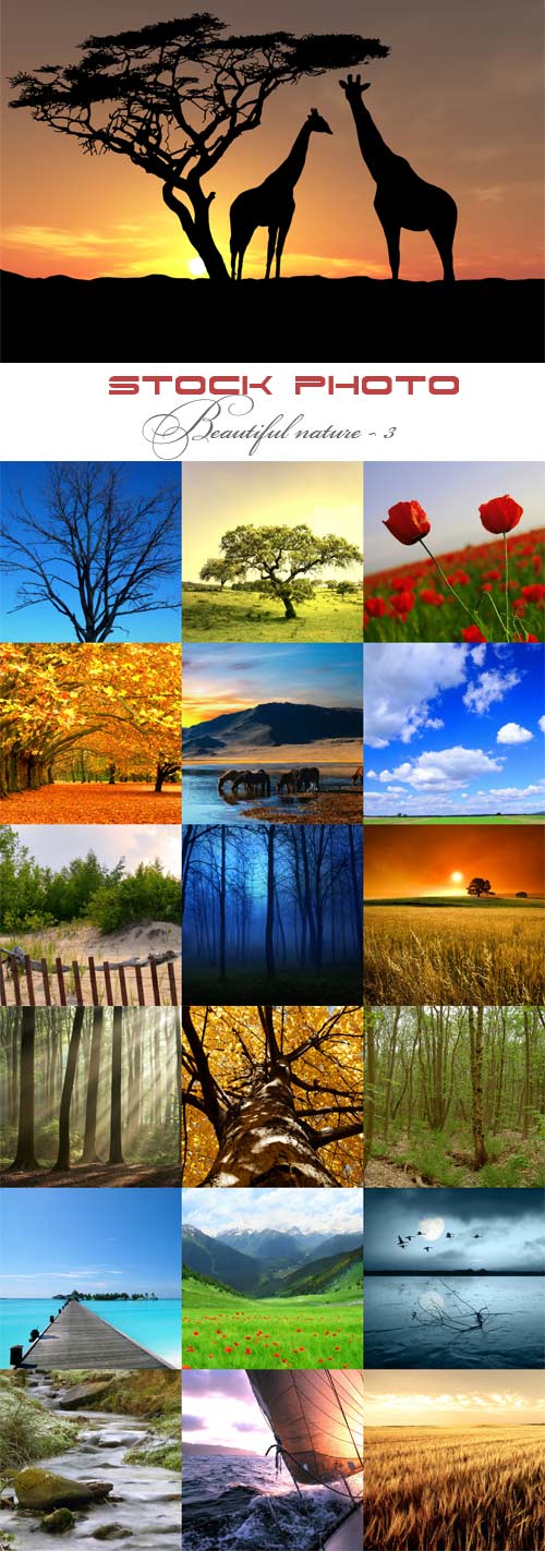 Beautiful nature raster graphics - 3 - Клипарт разный - Клипарт - Всё ...